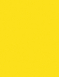 Electric Yellow 2230 SKU Image