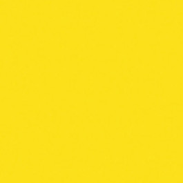 Electric Yellow 2230 SKU Image