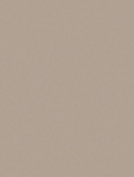 Taupe 2165 SKU Image