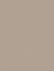 Taupe 2165 Sample Image