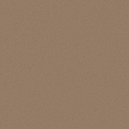 Brushed Champagne 2506 SKU Image