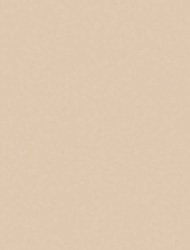 Silice 2119 SKU Image