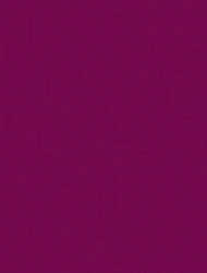 Berenjena 2243 SKU Image