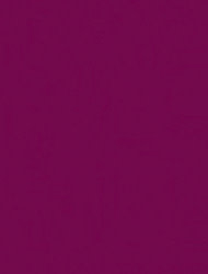 Berenjena 2243 Sample Image