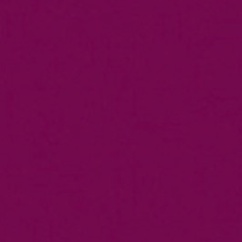 Berenjena 2243 SKU Image