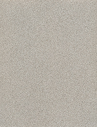 Astral 3030 Sample Image