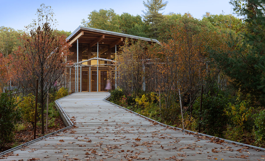 3-Walden-5527 395de04b972f9685c59c2cb471f98bc7