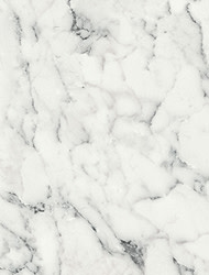 Marina Di Carrara 3151 Sample Image