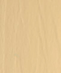 Light Beech E8.20.70T  Image