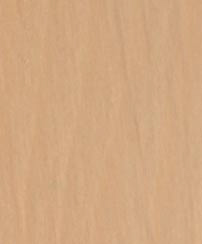 Birch E0.20.60T  Image