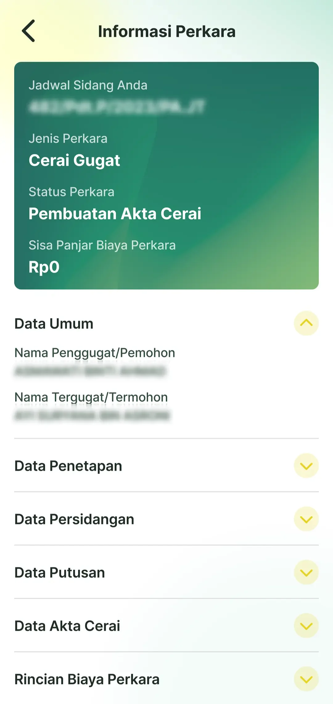 Case detail with case type, status, remaining fees, and expandable case data sections.