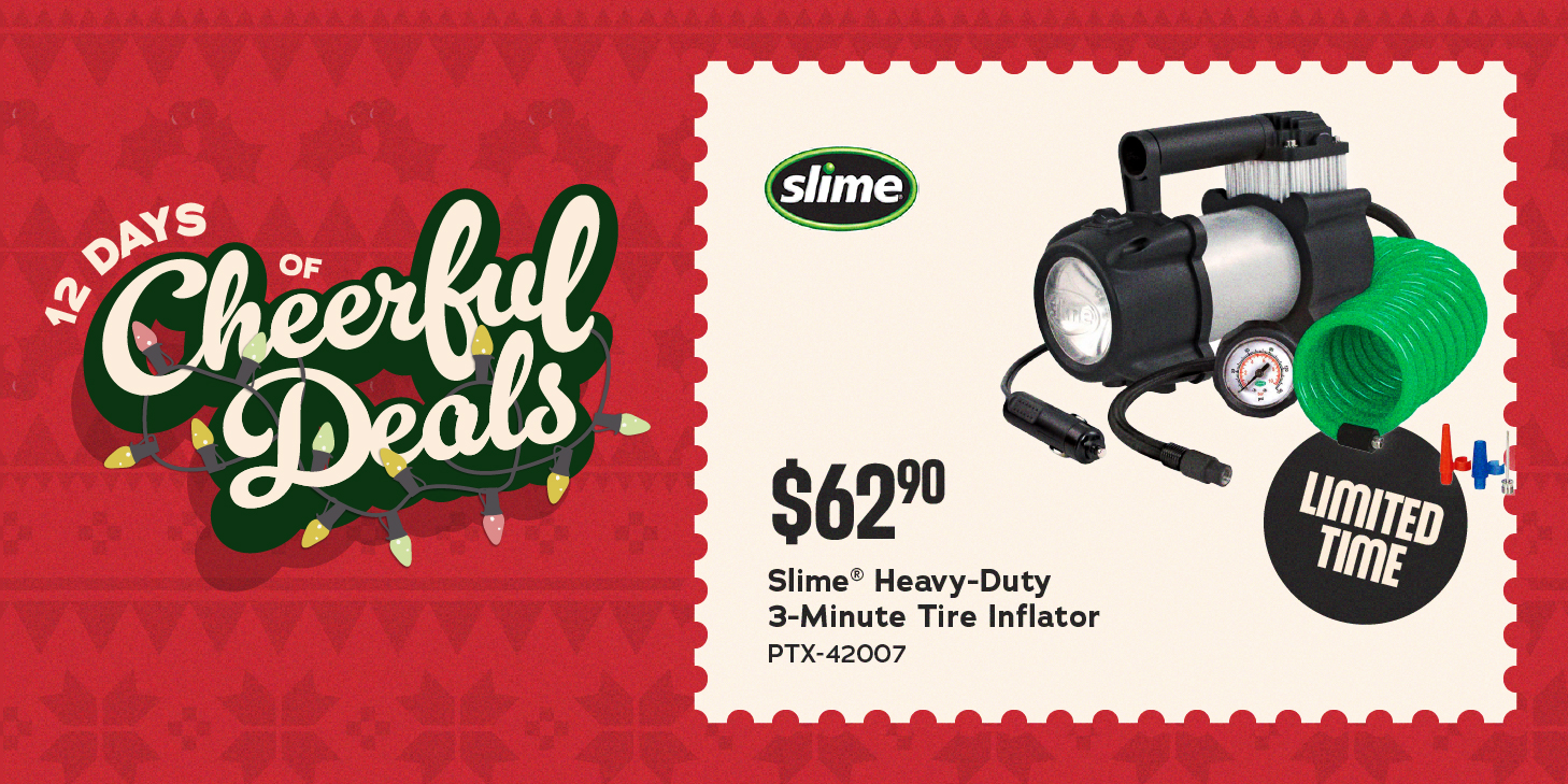 12 Days of Christmas - Day 11 | Image