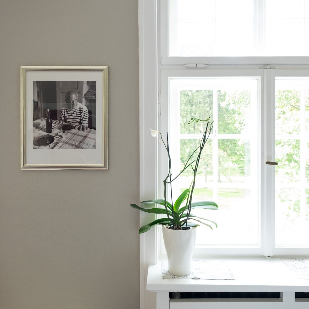 Blick aus dem Fenster eines sanierten Altbaus in Lübeck mit einer Orchidee auf der Fensterbank und einem gerahmten Bild an der Wand. Wir sanieren mit Liebe zum Detail.