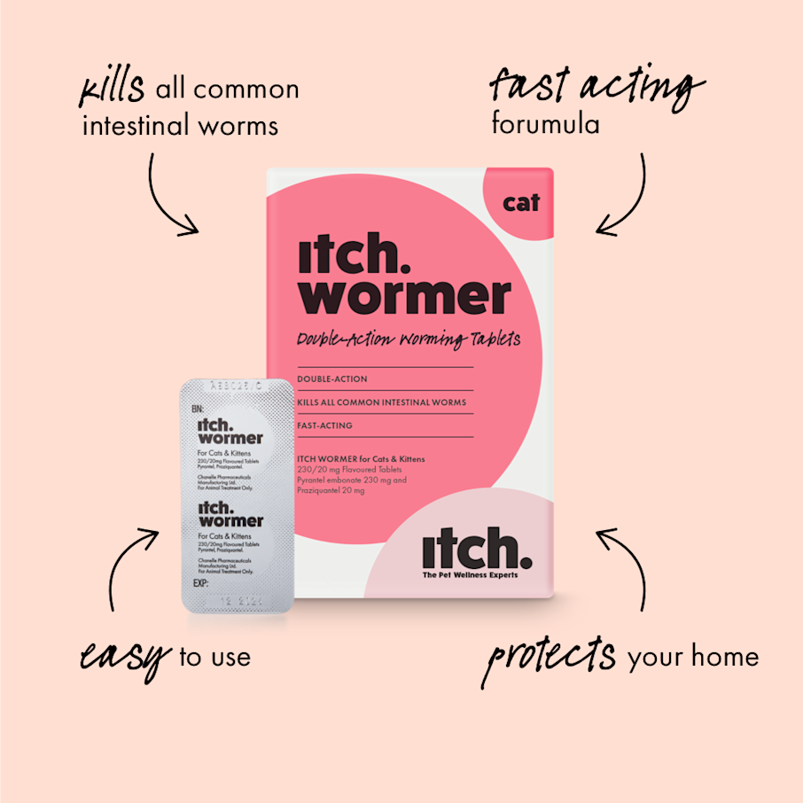 Flea & Wormer Treatment Subscription for Cats & Dogs Itch