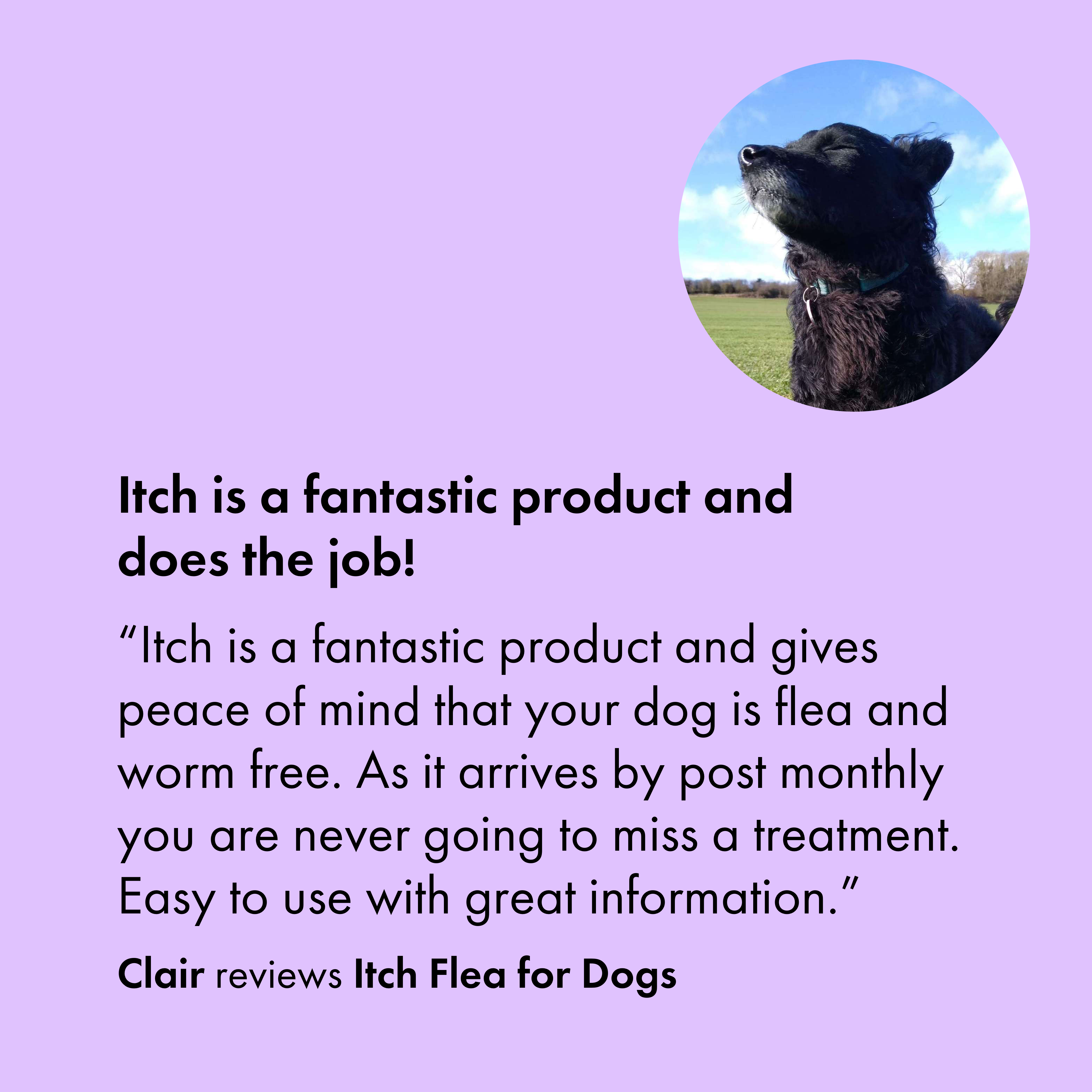 Customer review for Itch Flea for dogs