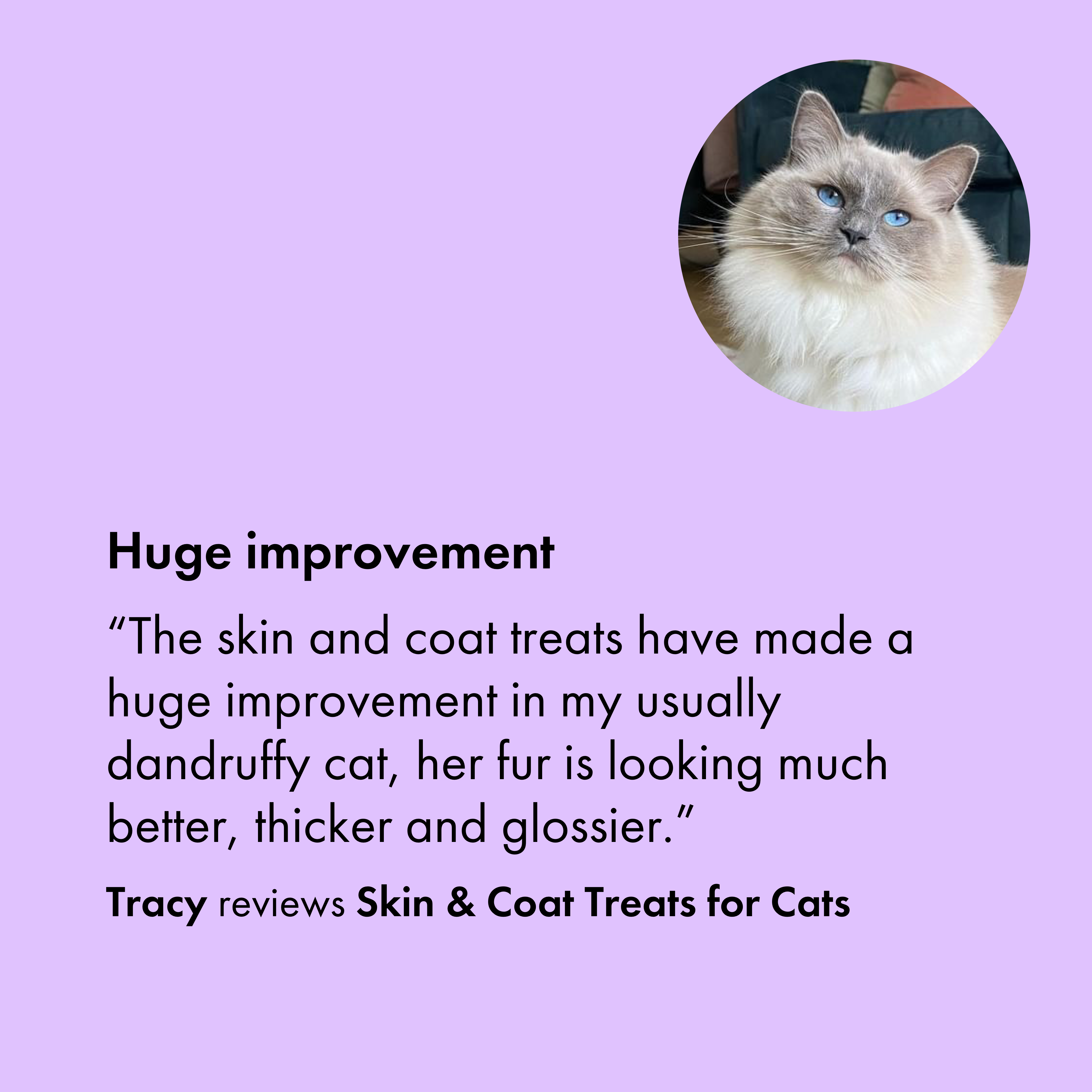 Itch Skin & Coat Treats for Cats, customer review