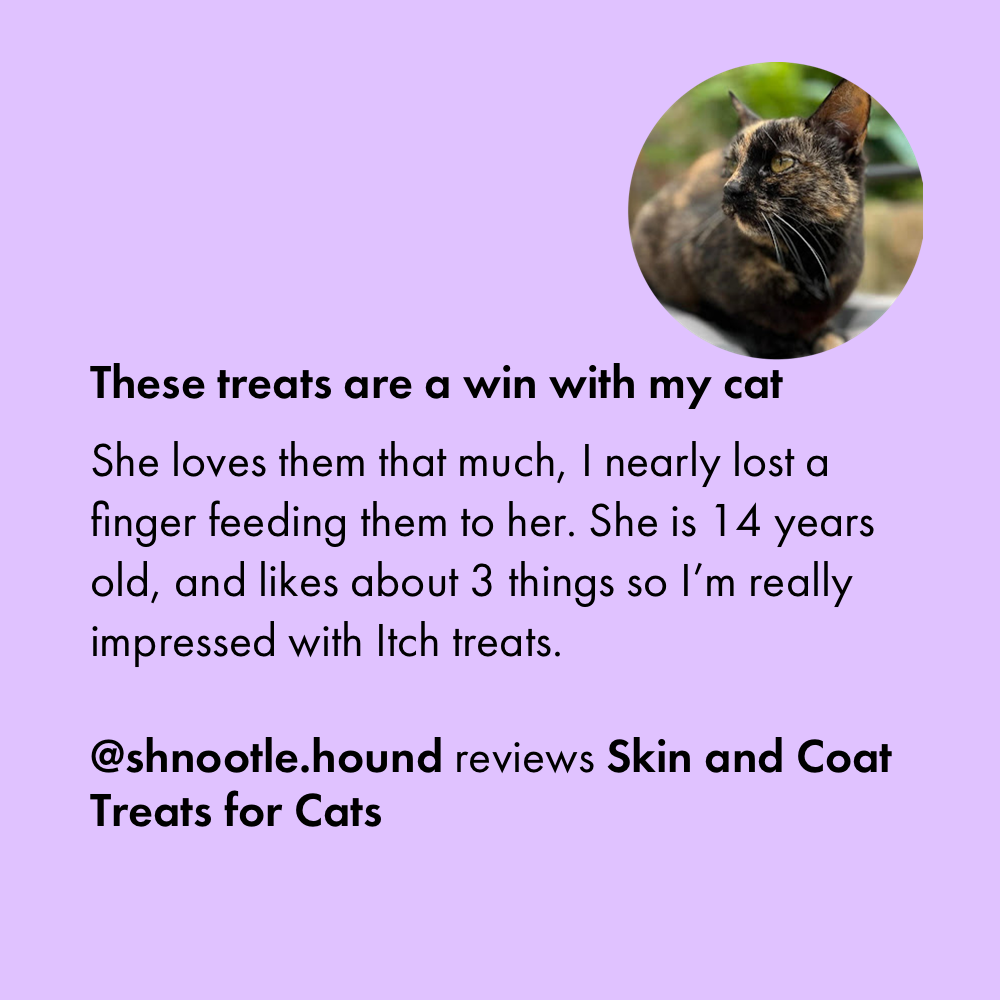 Itch Skin & Coat Treats for Cats, customer review