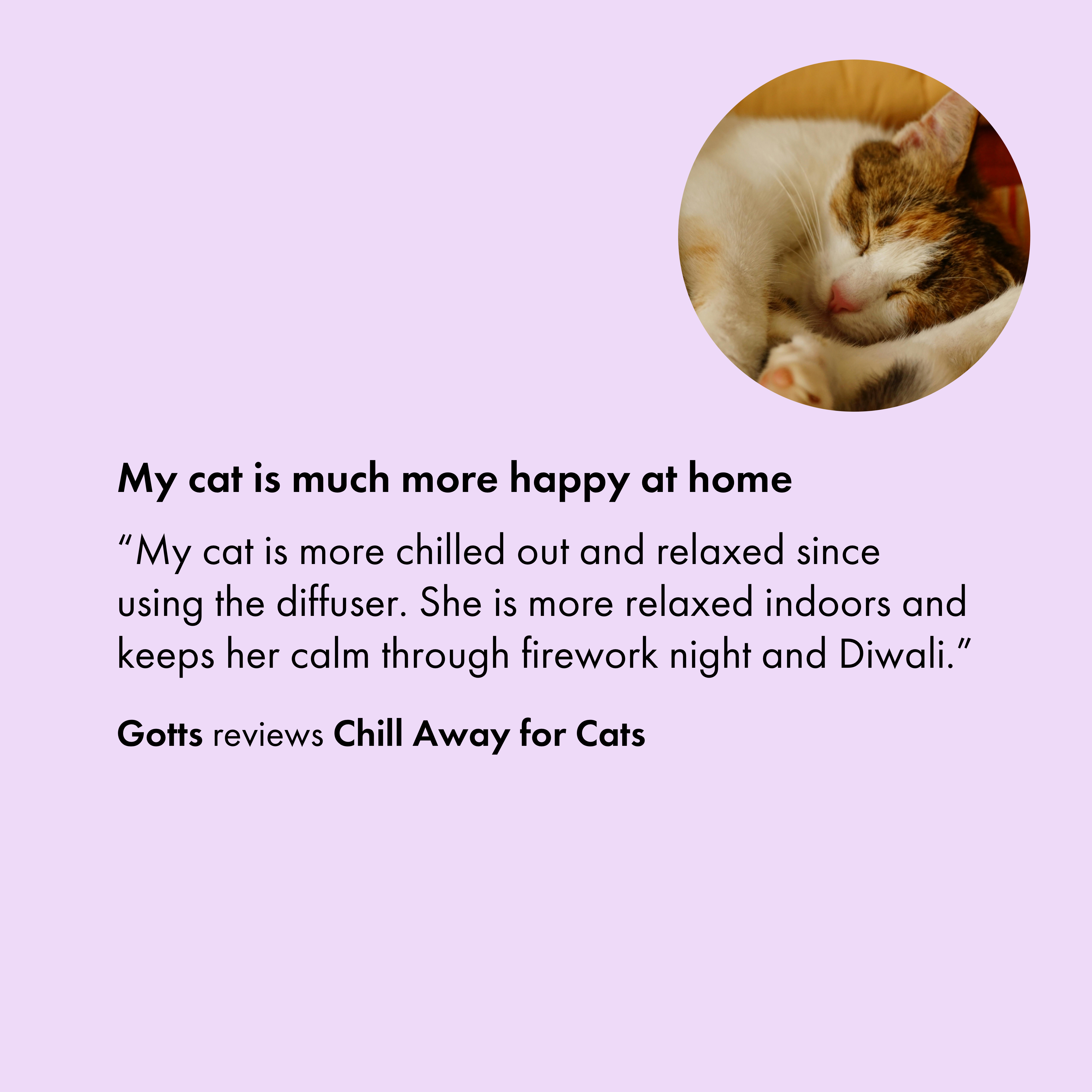Itch Chill Away plug-in pheromones diffuser for cats is positively reviewed by cat parents.