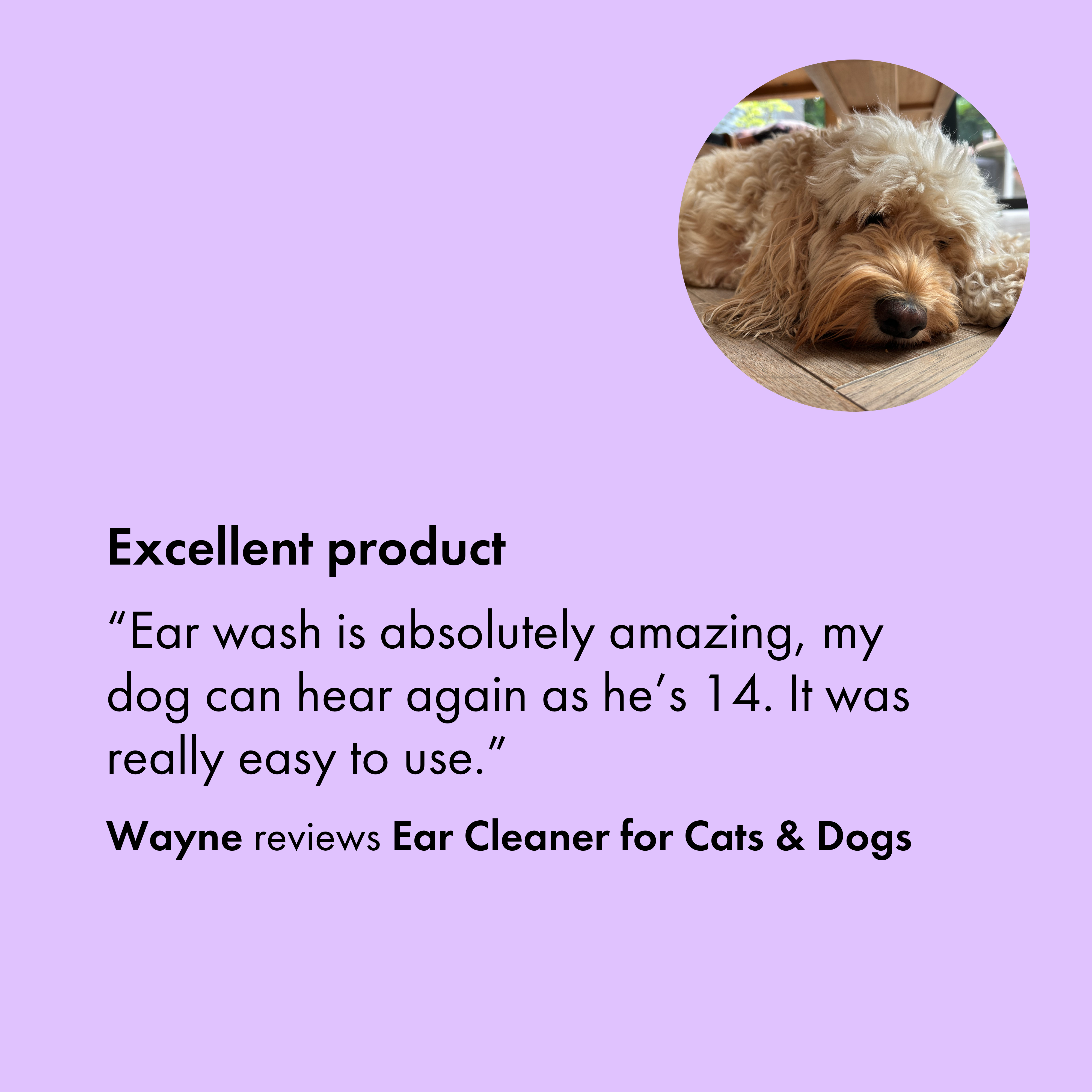 Itch Ear, Liquid Ear Cleaner for Cats and Dogs, customer review