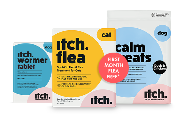 Itch Flea and worming tablets with healthy pet treats