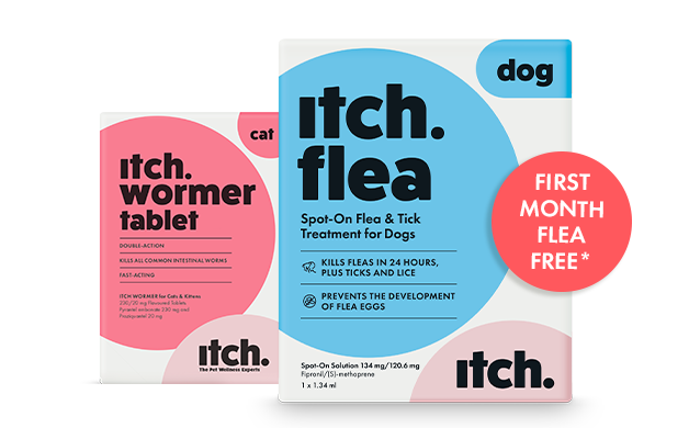 Most popular Itch Flea subscription - Tailored flea and worming treatments for cats and dogs.