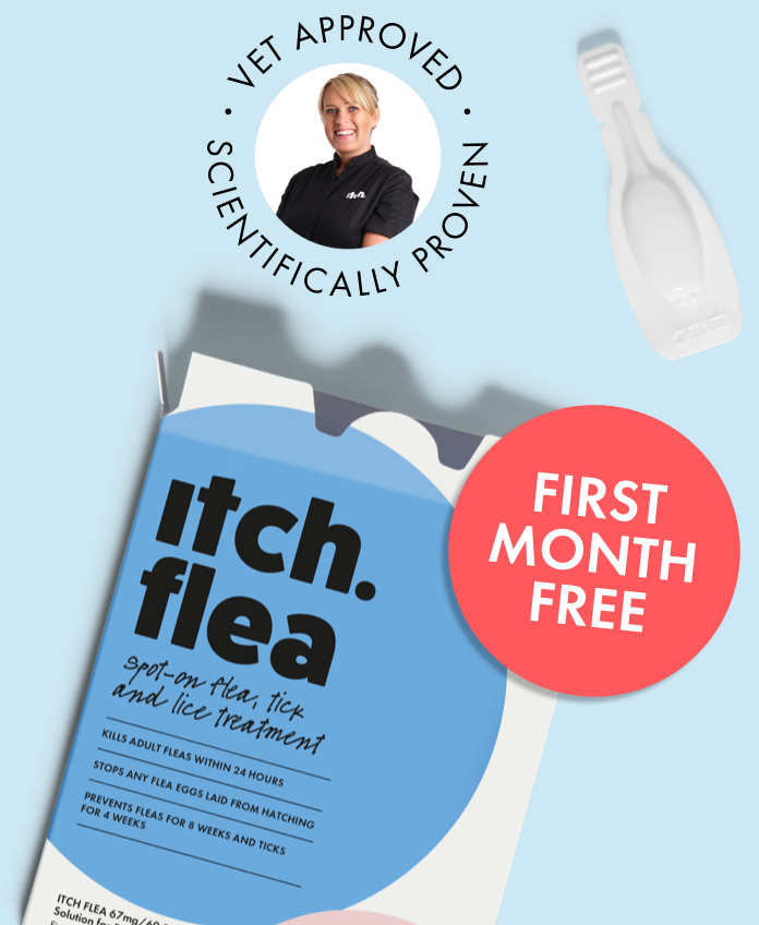 Itch Flea Carton with First Month Free roundel