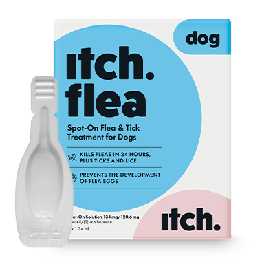 Itch Flea Spot-On Flea, Tick and Lice Treatment for dogs - image of Itch Flea box for dogs with pipette