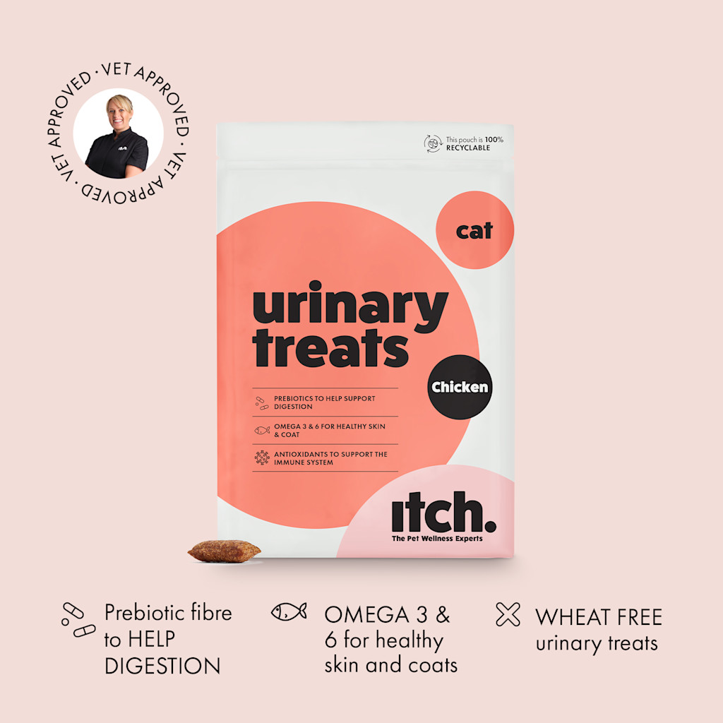 A pouch of Itch Urinary Treats for Cats with kibble and vet stamp of approval