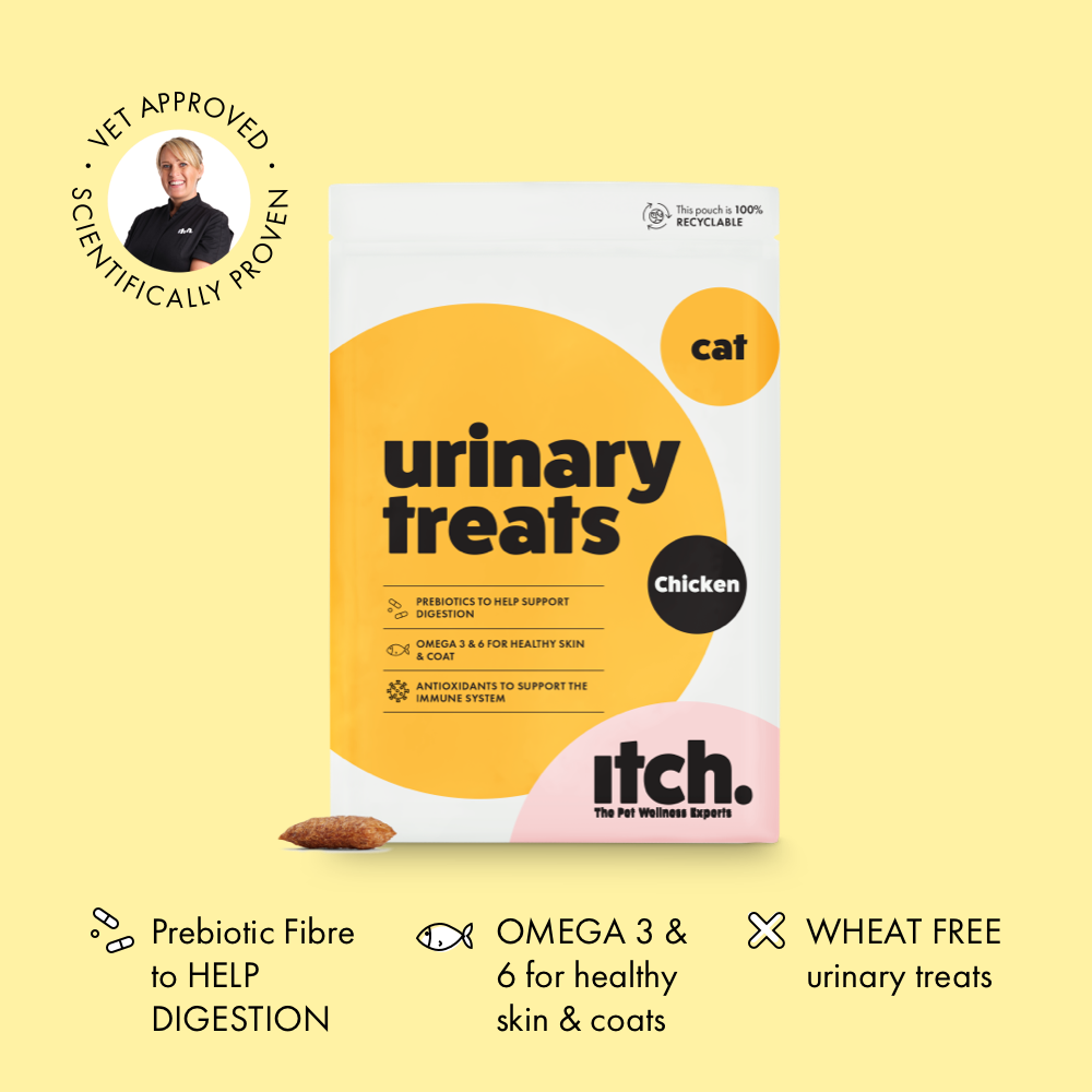 healthy centres cat treats