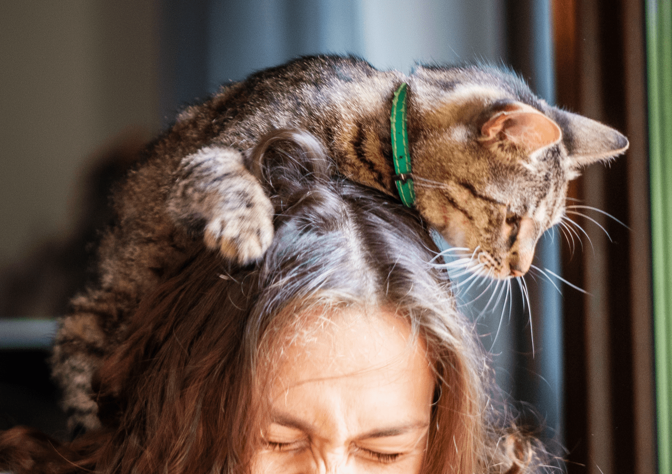 It's a picture of dark-haired lady with a cat on her head.