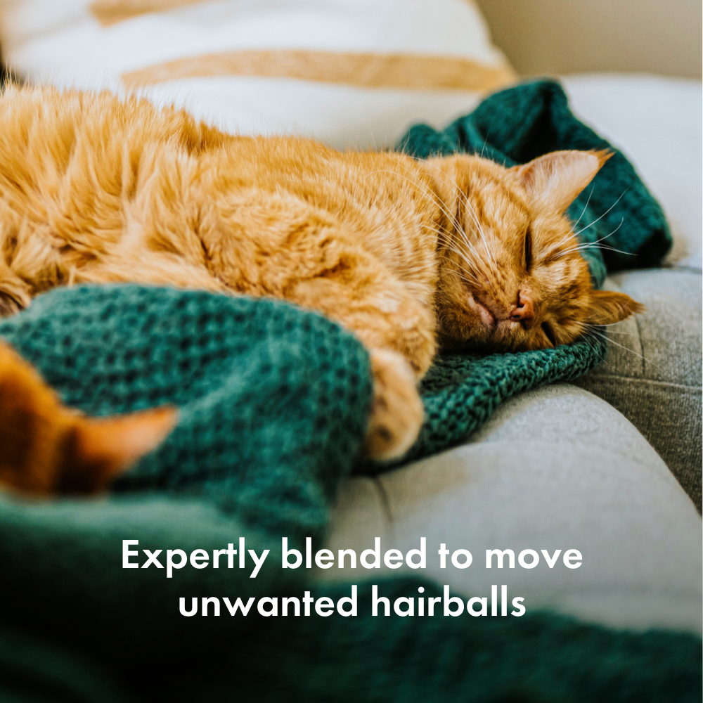 Itch Furball treats, treats to breakdown hairballs for cats - image of cat lying down