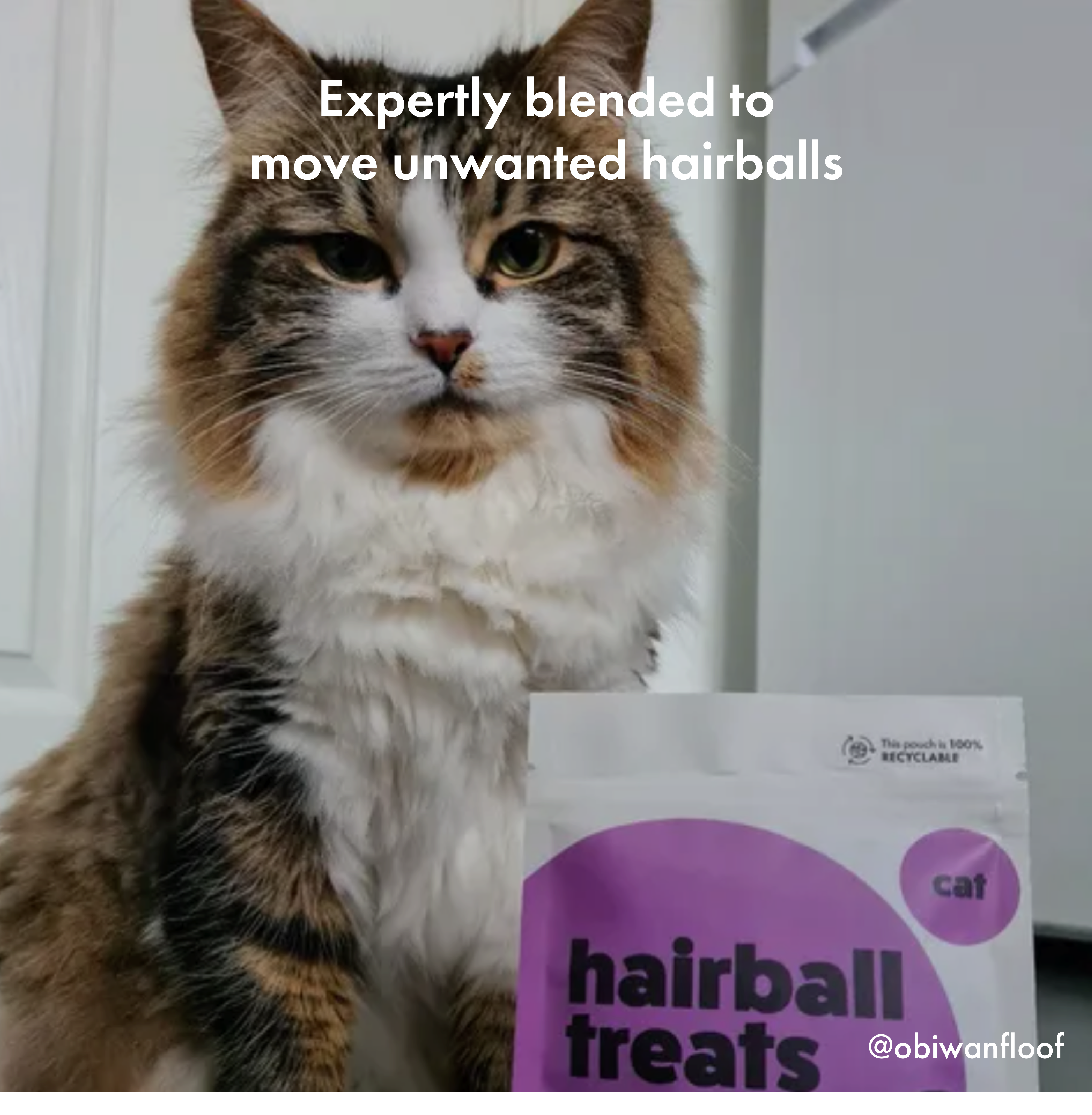 Itch Furball treats, treats to breakdown hairballs for cats - image of cat lying down