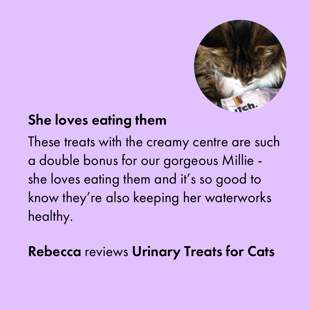 Customer review for Itch Urinary Treats for Cats 