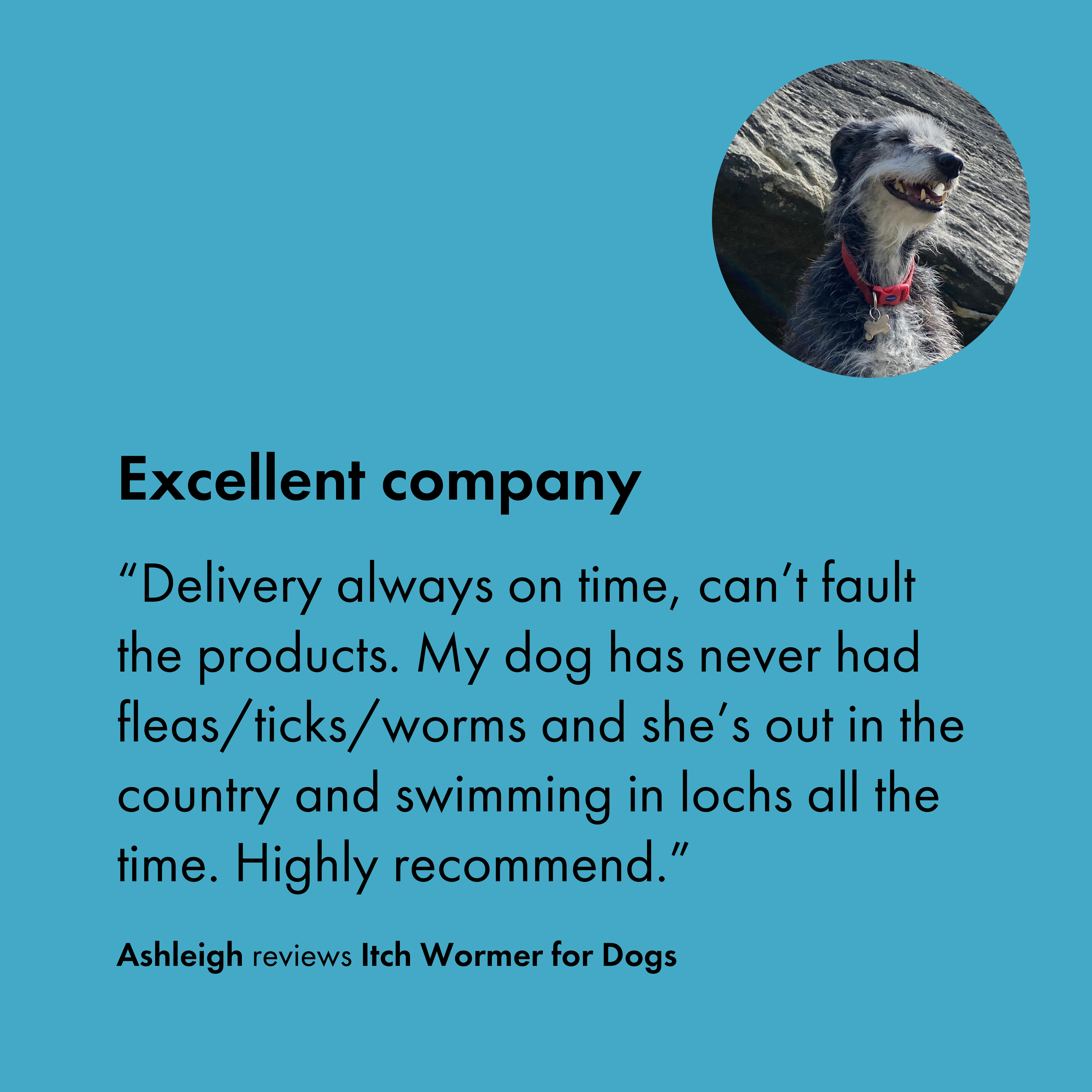 Customer review for Itch Worming treatment for dogs
