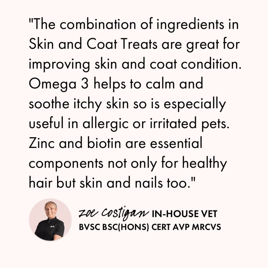 Itch Glossy treats, Skin and Coat treats for cats and dogs, vet quote