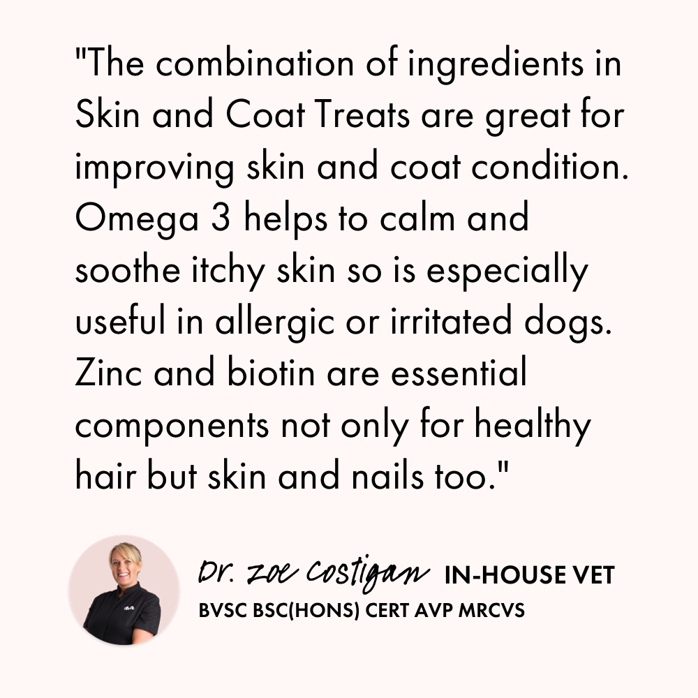 Itch Skin and Coat Treats for Dogs, vet quote