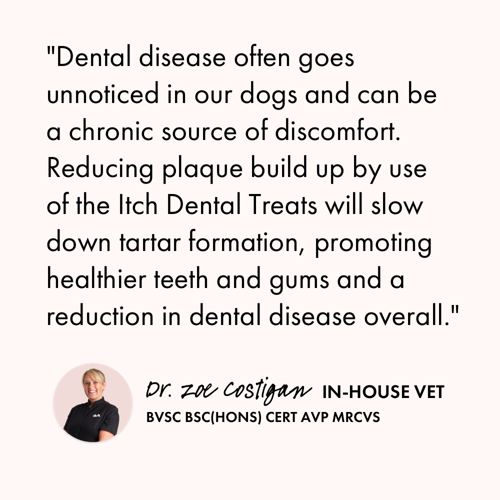 Itch Dental Treats for Dogs, vet quote