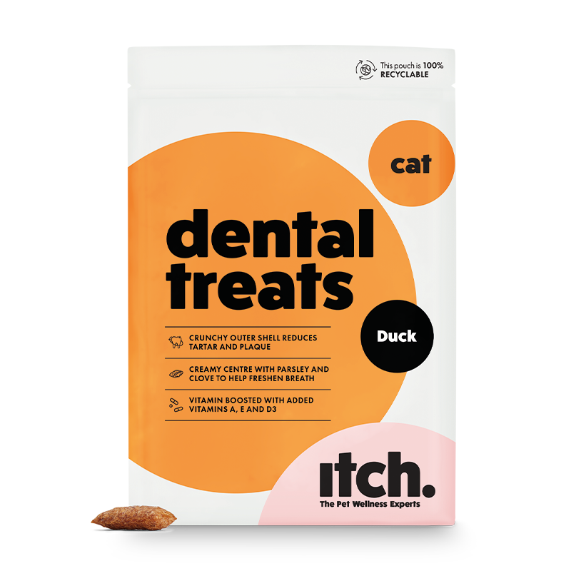 A pack shot of Itch Dental Treats for Cats with a kibble at the side. 