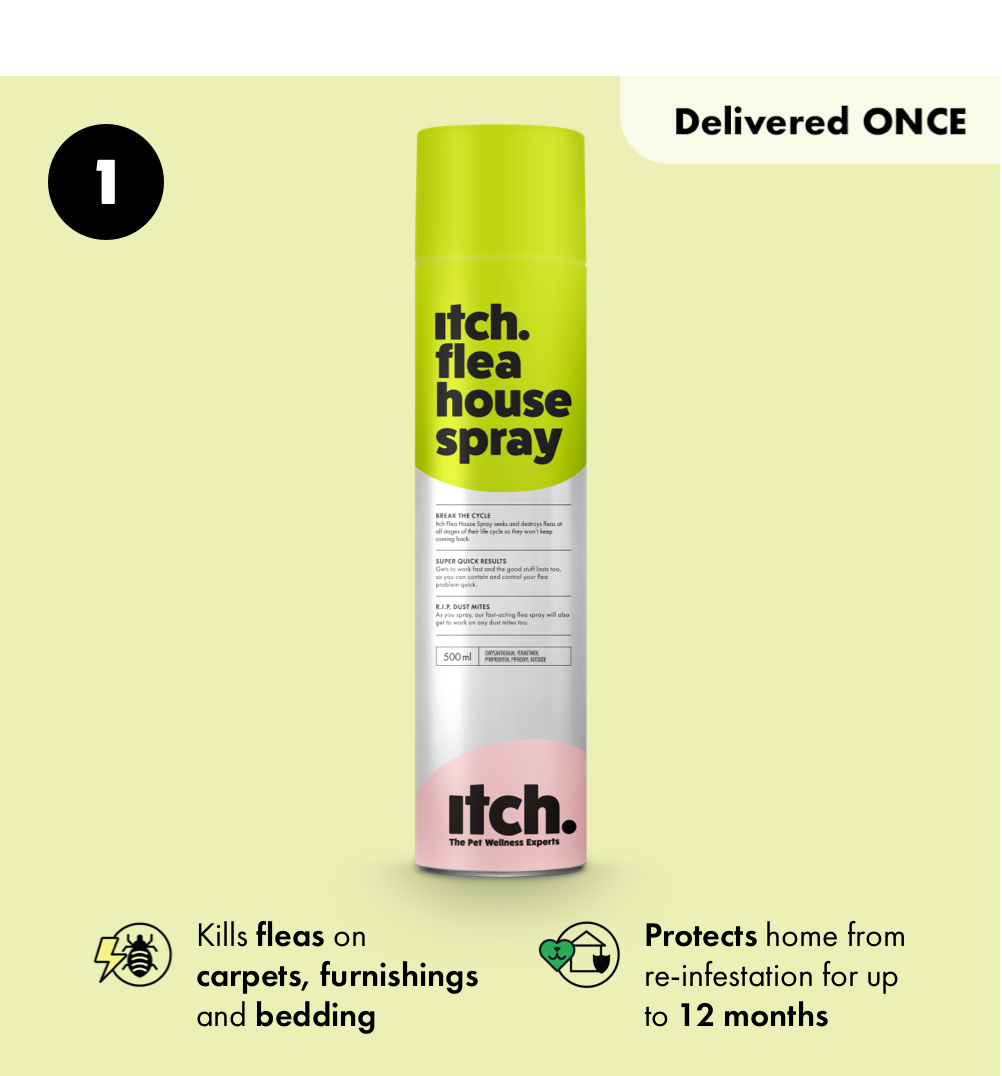 Itch Flea House Spray for Homes 