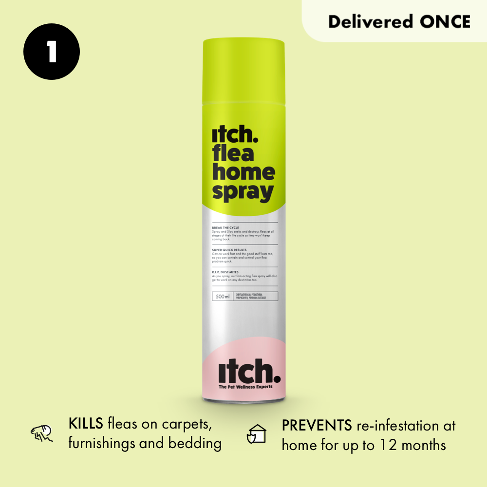 Itch Flea Home Spray pack shot on a green background with product benefits highlighted. Itch Flea House Spray will get rid of fleas in your house.
