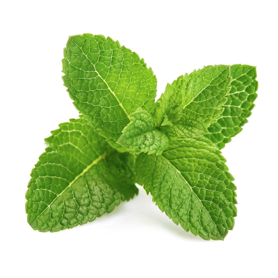 Itch - Product ingredients - Image of Peppermint