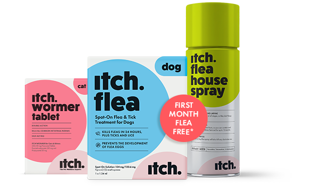 Itch Flea and worming treatments with flea spray for house