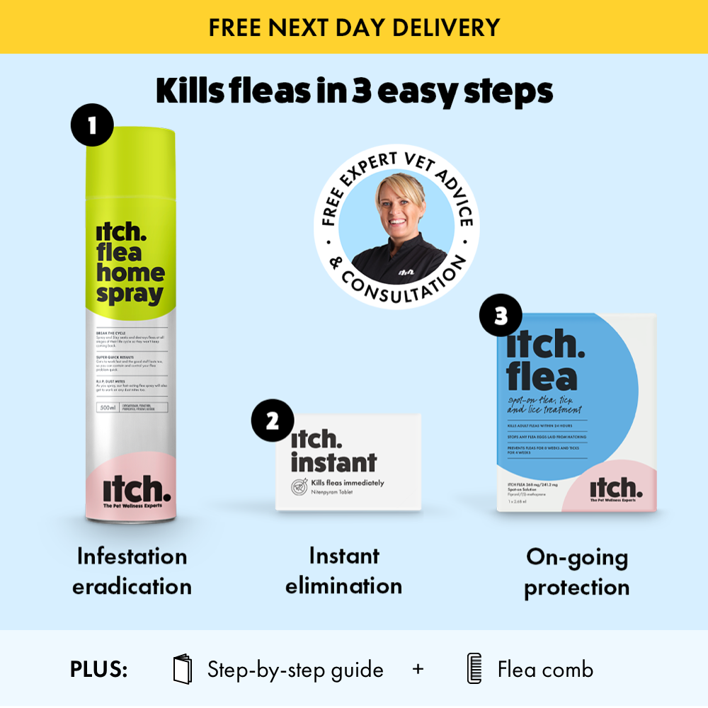 Product pack shots of Itch Flea Home Spray, Itch Instant and Itch Flea Spot On treatment - Main products in Itch Flea Eradication Kit for House and Pets to get rid of fleas in your household in 3 easy steps.