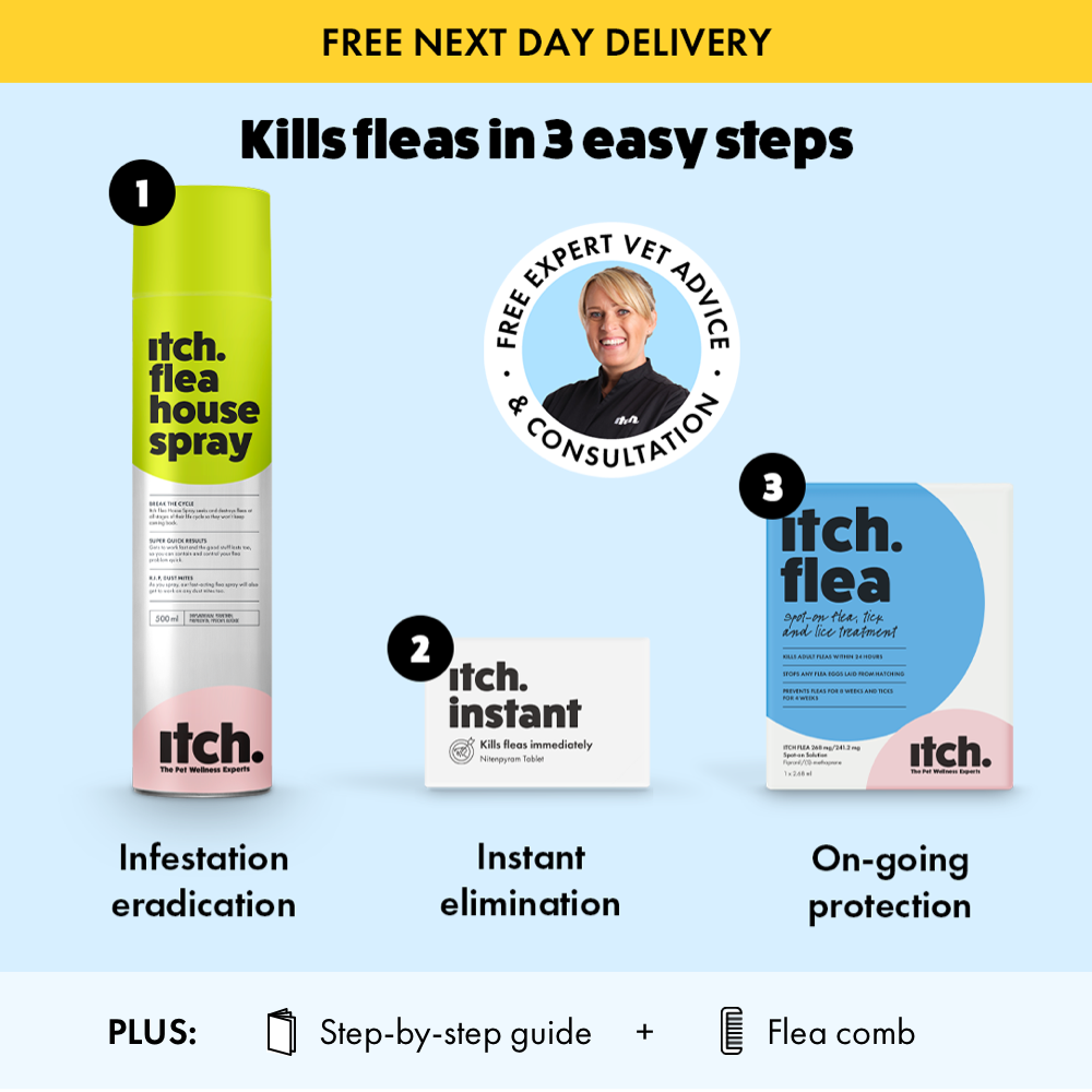 Itch Flea Eradication Kit range of products included