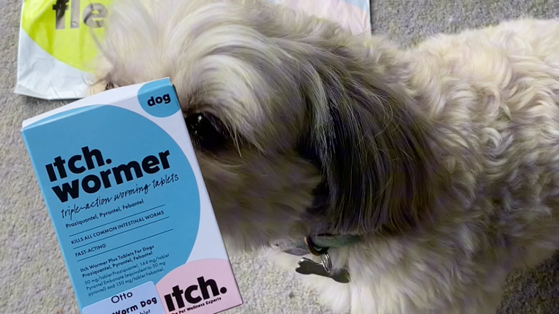 Itch Wormer Tablets for Dogs box with blonde Labrador, looking directly at camera.