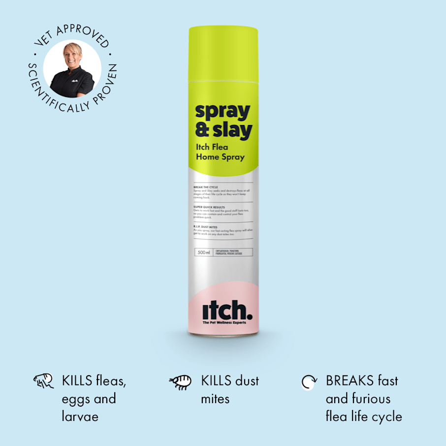 Flea Home Spray Kills Fleas and Eggs in The House Itch