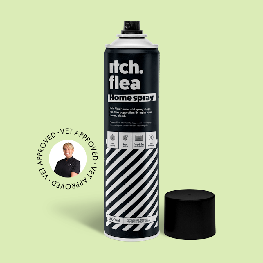 Flea Home Spray Flea Killer Protection Spray For Homes Itch flea-home-spray-flea-killer-protection-spray-for-homes-itch