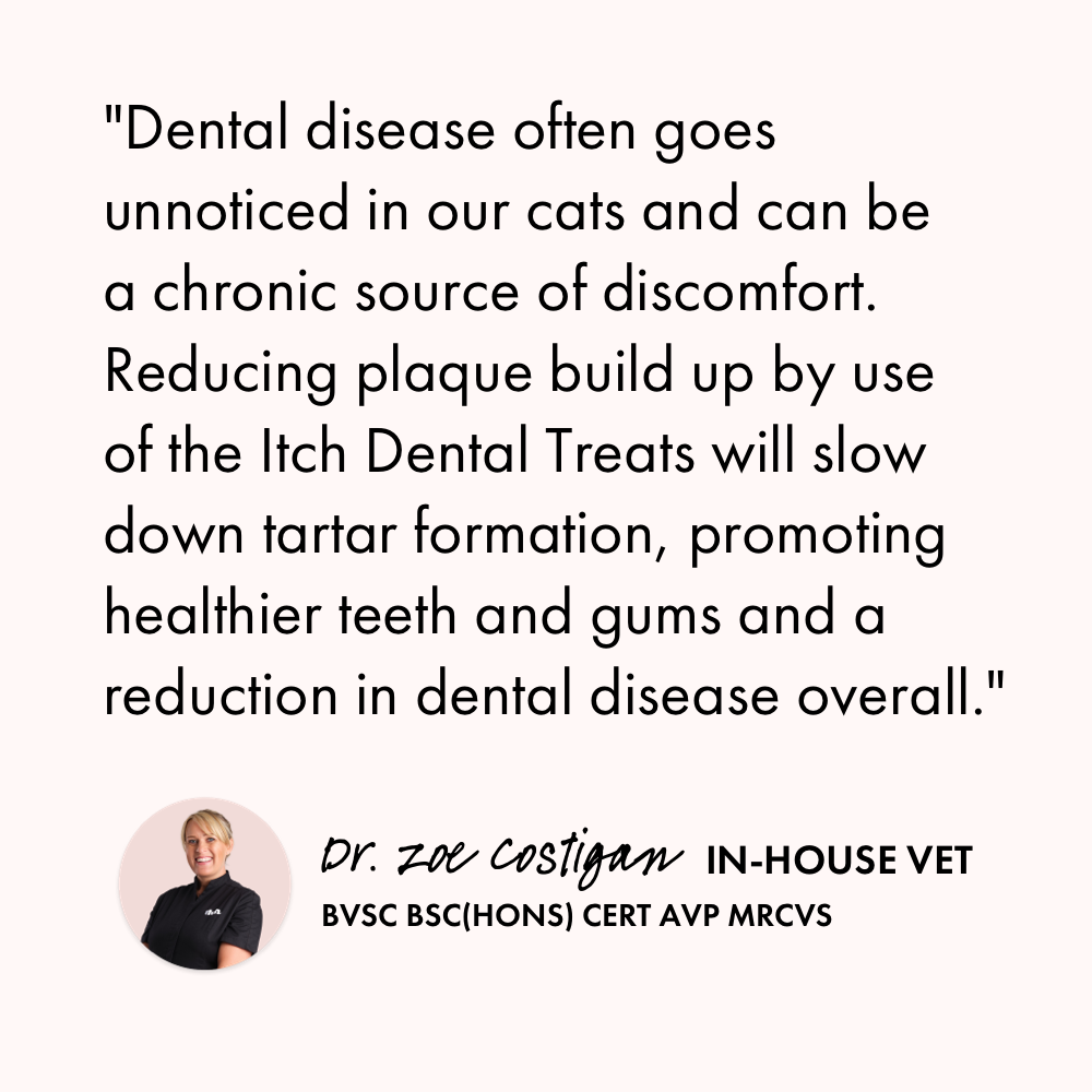 Itch Dental Treats for Cats, vet quote
