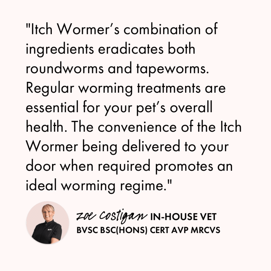 Itch Wormer Tablet, Double-Action worming tablets for Cats & Dogs, Vet quote