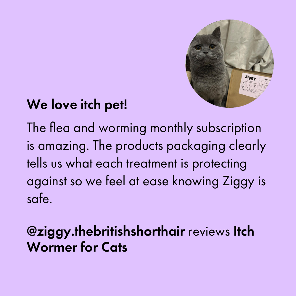 Worm Treatment Monthly Flea Subscriptions for Pets Itch